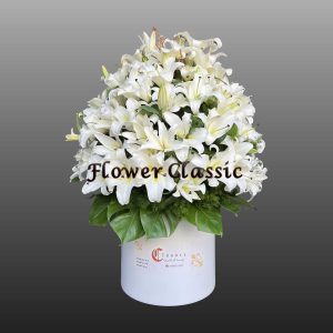 باکس گل ختمی 402
